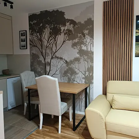 Apartament Ivan *